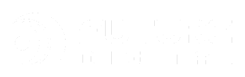 Future Digital
