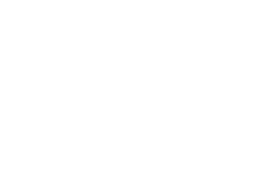 Megalink Internet