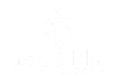 MagalNet Telecom